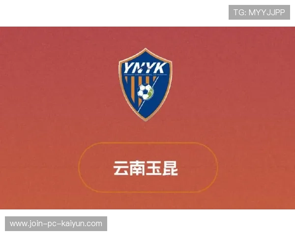 云南玉昆引进强援，巴乙球员与国脚助力保级